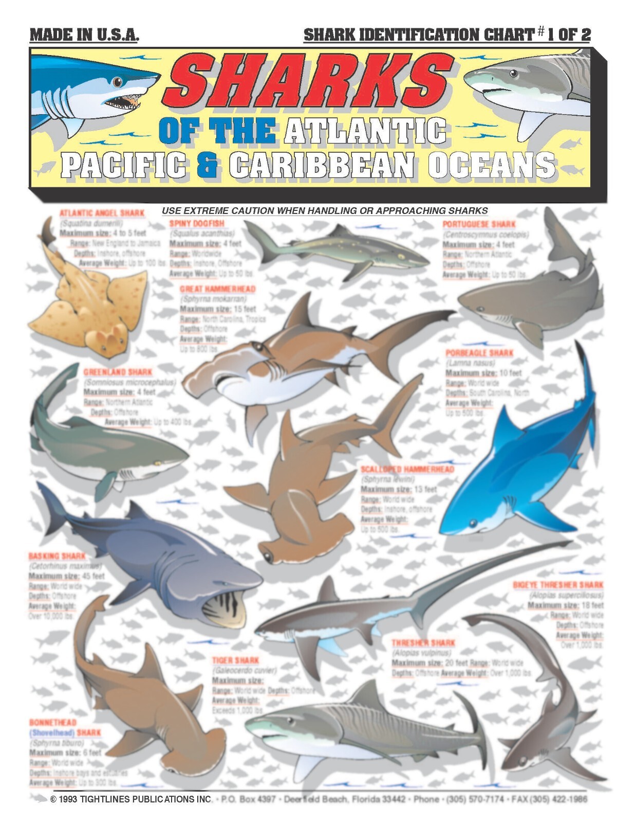 Fishermen's Saltwater Fish Identification Set - Waterproof Quick Reference Guide