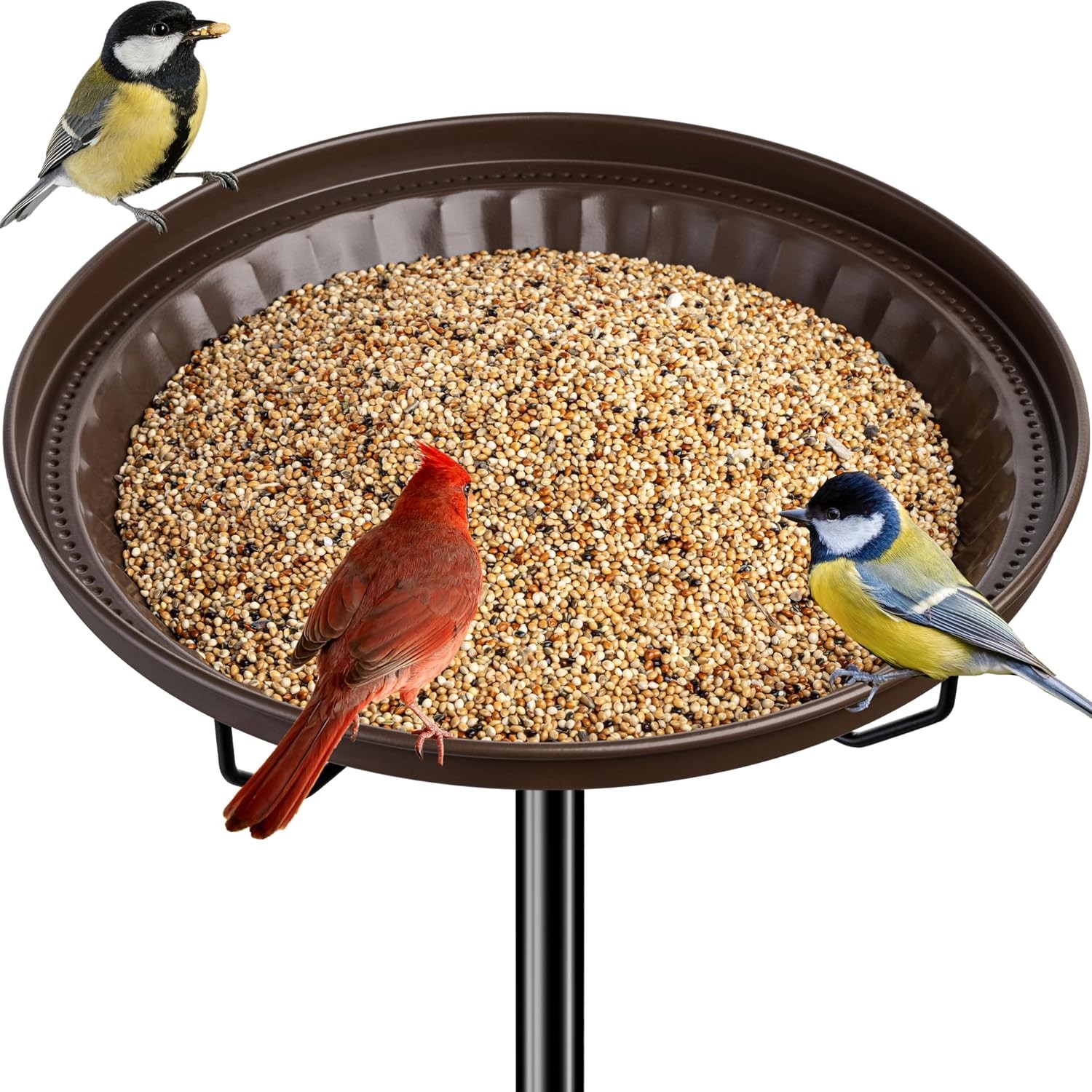 iBorn Standing Bird Feeder, Metal Feeder Tray Stand with Bronze