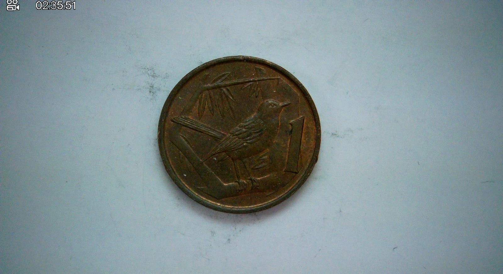 Cayman Islands 1982 1c Cayman Islands bird (Thatch Palm / Bananaquit) cent Coin