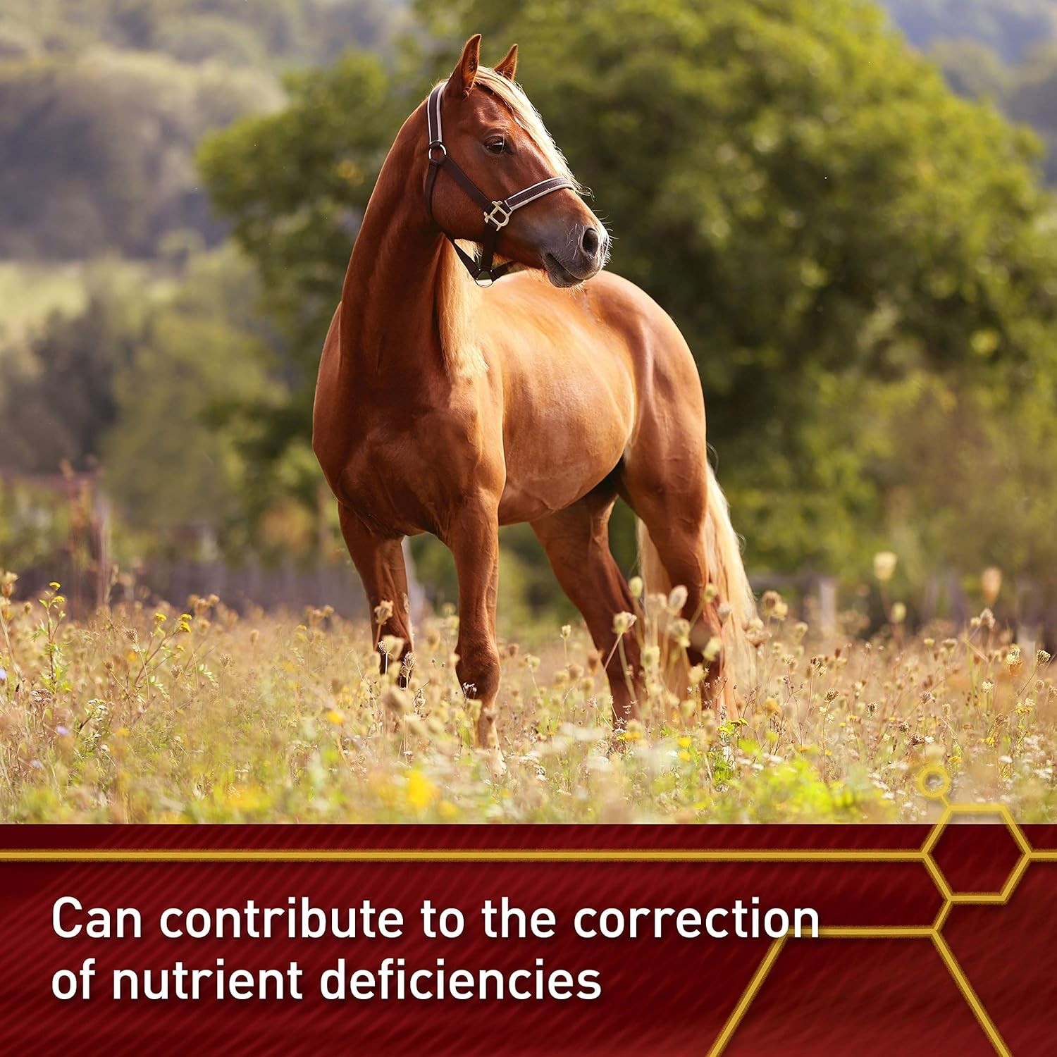 Optimal Nutrient Solution: 4lb Selenium & Vitamin E for Horses - 64-Day Dosage