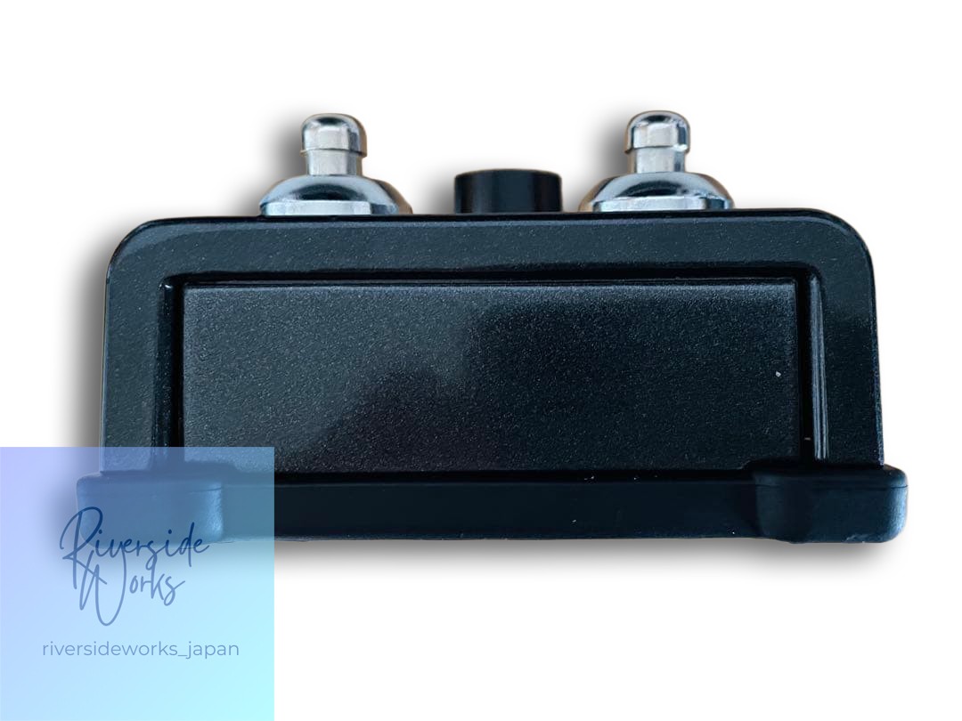 DITTO Mic Looper