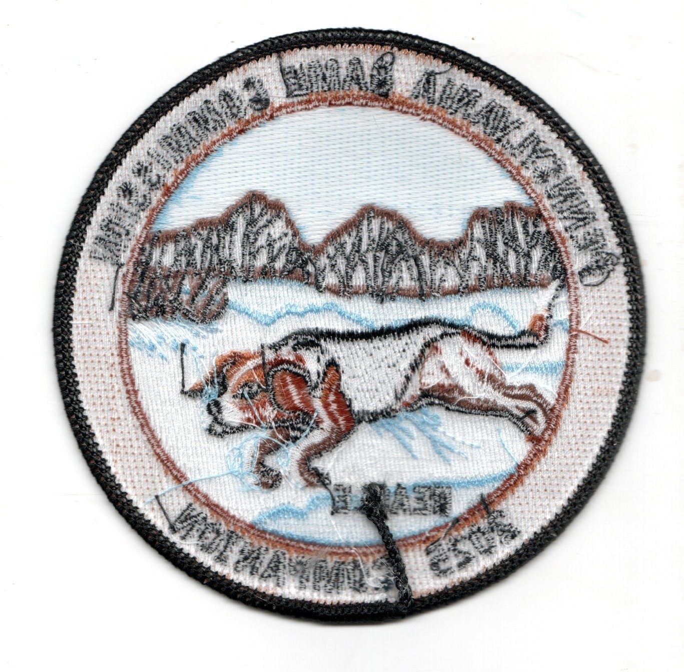 2025 PA GAME COMM COMPANION BEAGLE PATCH ORGINAL NEW