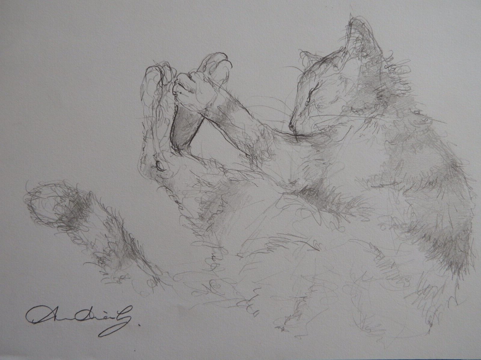 Pencil drawing cat curled sleeping