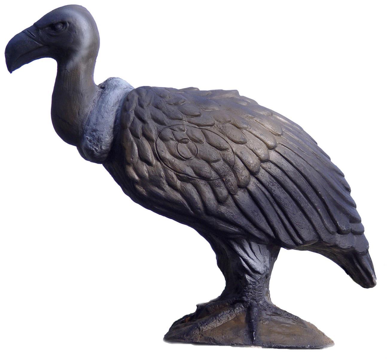 3D Animal LongLife Monk Vulture