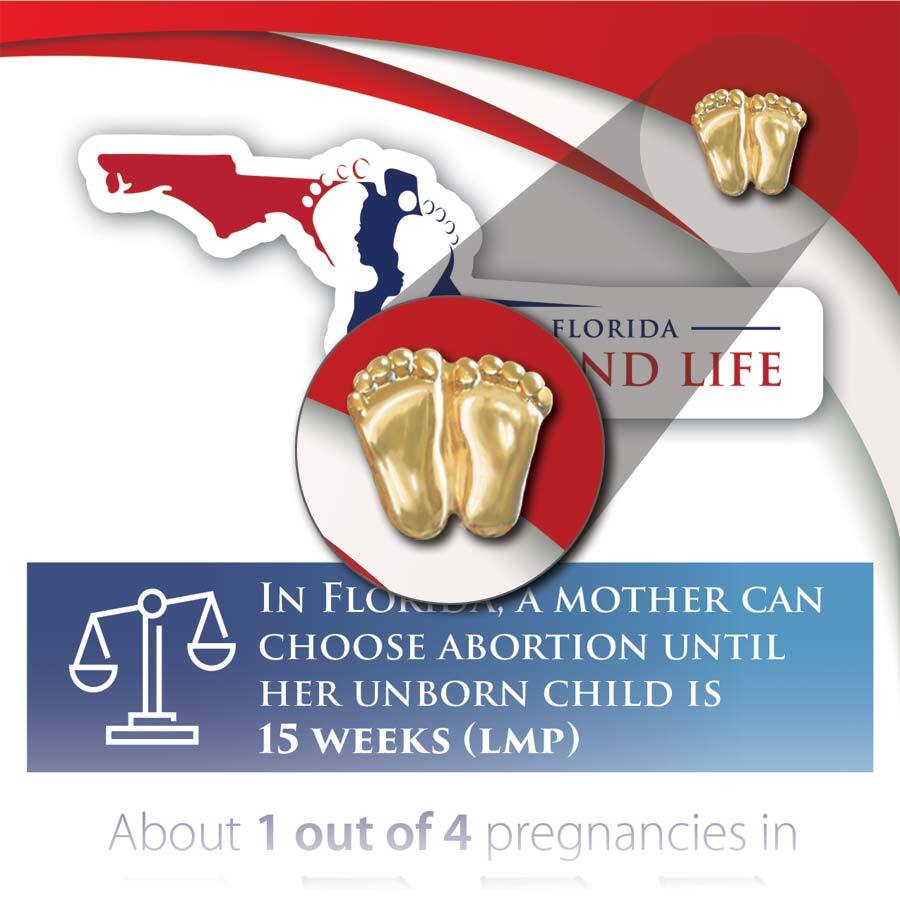 Precious Feet, Gold-Colored, Florida Stats Card Jewelry, Lapel Pin