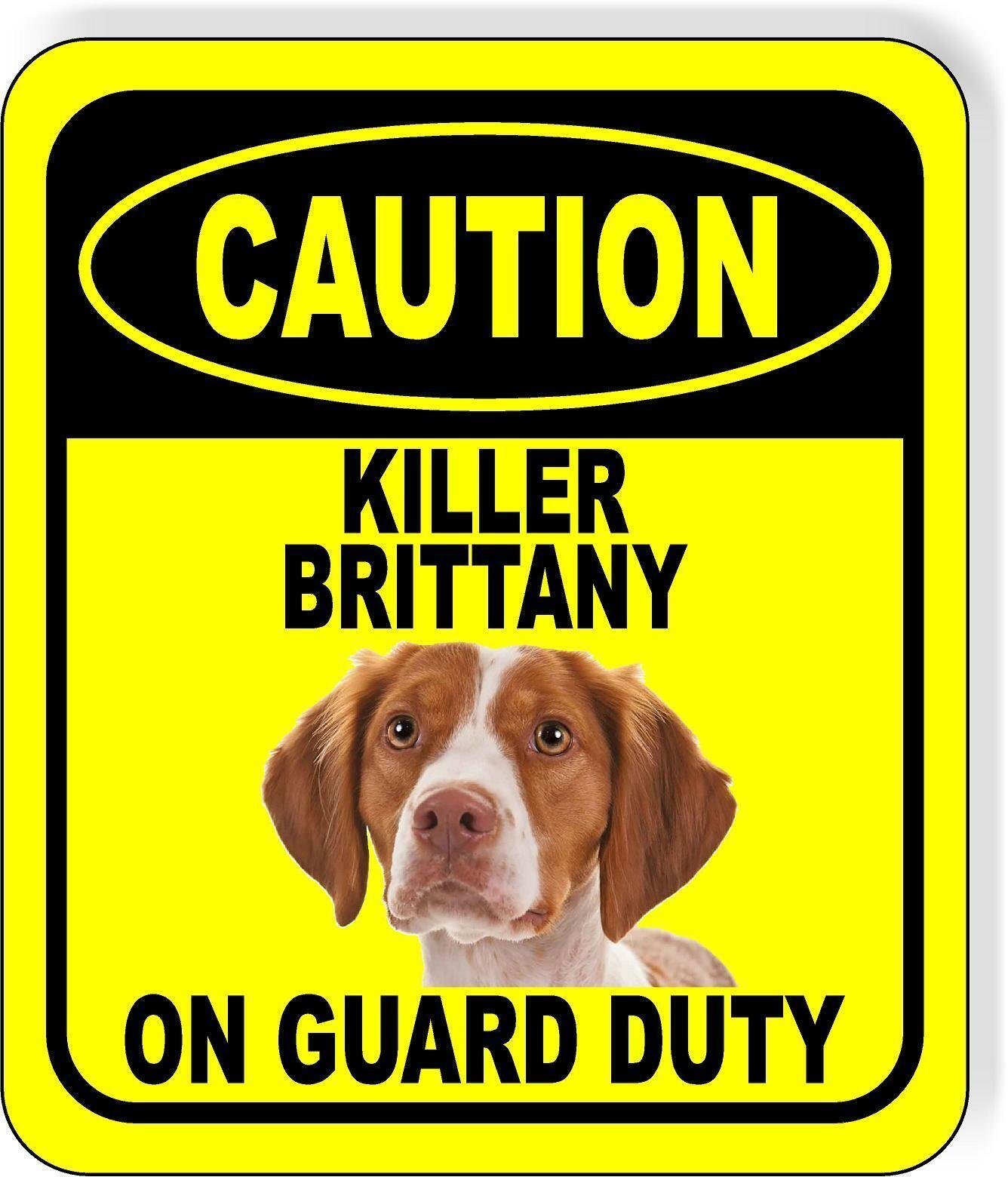 CAUTION KILLER BRITTANY ON GUARD DUTY Metal Aluminum Composite Sign