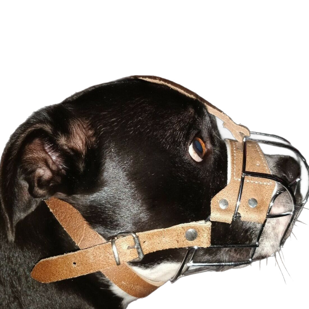 Strong Metal Wire Basket Dog Muzzle Staffordshire Bull Terrier Staffy , Staffie