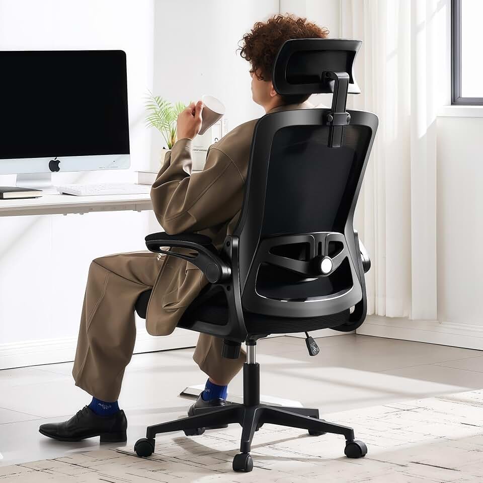 Fizzin Office Chair Mesh Computer Chairs with Adjustable Lumbar Support