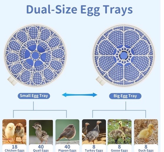 Incubators for Hatching Eggs,18 Egg Incubator with Automatic Egg Turning 🪧