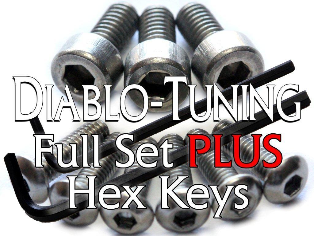 Ibanez Saddle Intonation & Locking Nut Screws Set Stainless Steel PLUS Hex Keys!