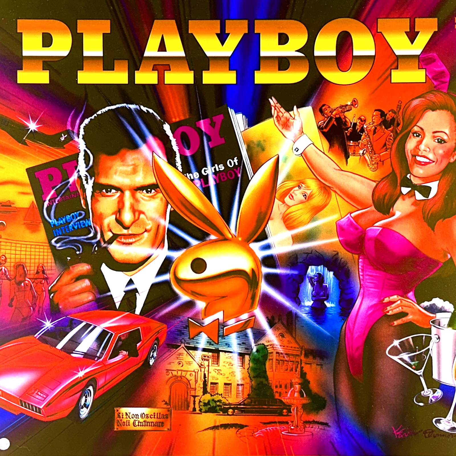 Stern Playboy Pinball Machine Game Backglass Translite ORIGINAL NOS Licensed