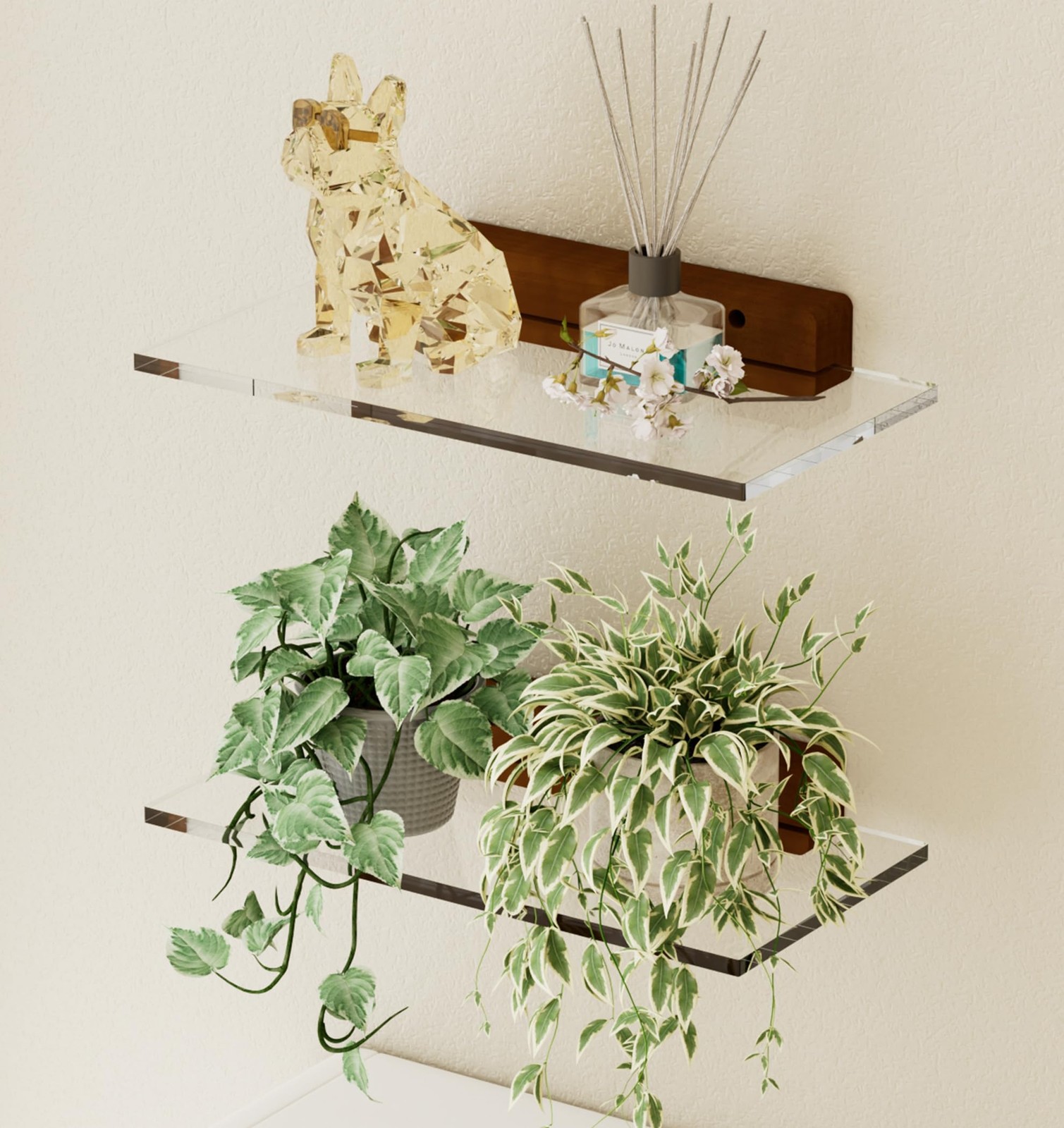 Acrylic Floating Shelves with Solid Wood Base, Wall Mounted Shelf for Plants,...