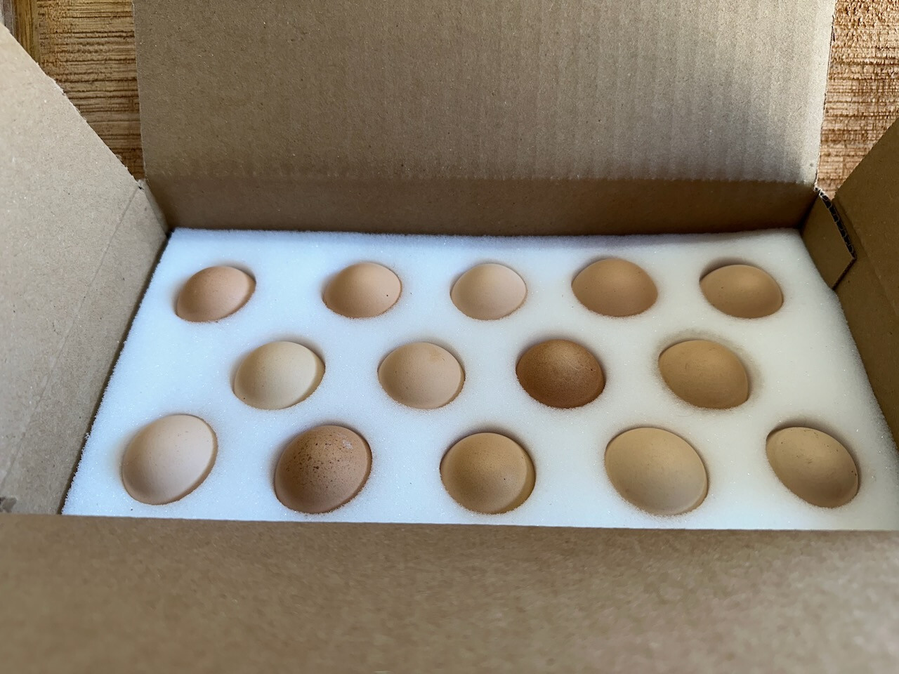 6 SETS - 14 Hole Foam Egg Shippers with Extra Thick Padding! (INCLUDES BOXES)