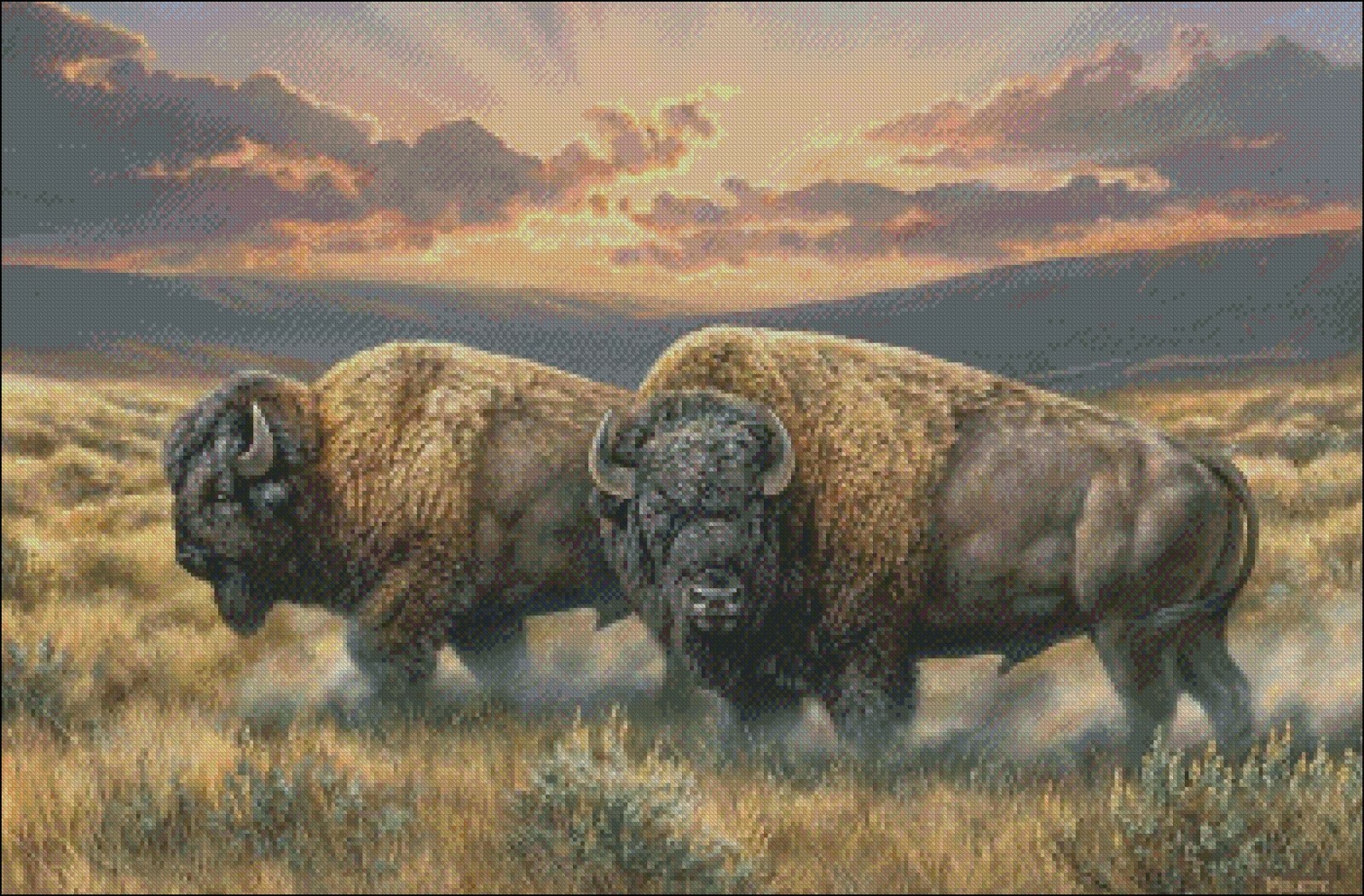 Dusty Plains Bison - DIY Chart Counted Cross Stitch Patterns Needlework 14 ct