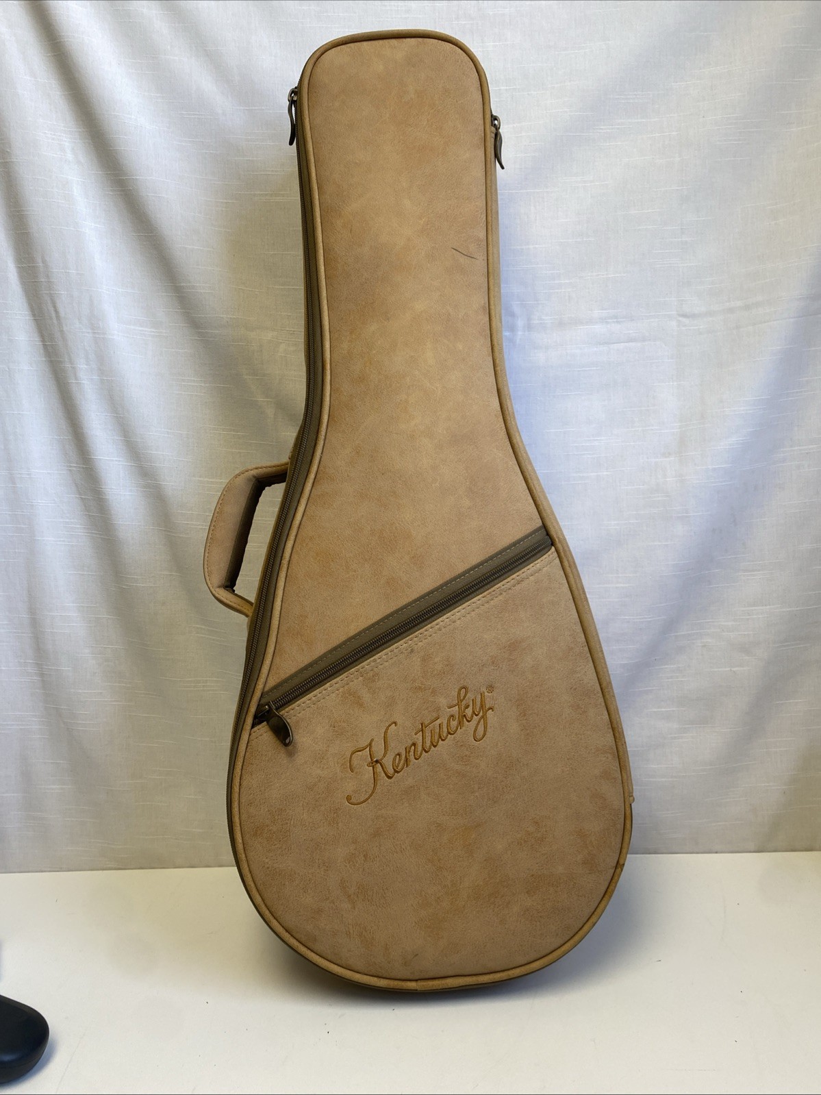 Kentucky KM140 Mandolin With Case - Saga Musical Instruments