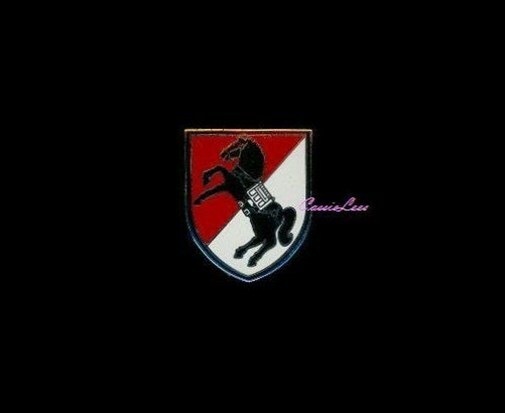 USA 11th ACR Support + a custom promo pin