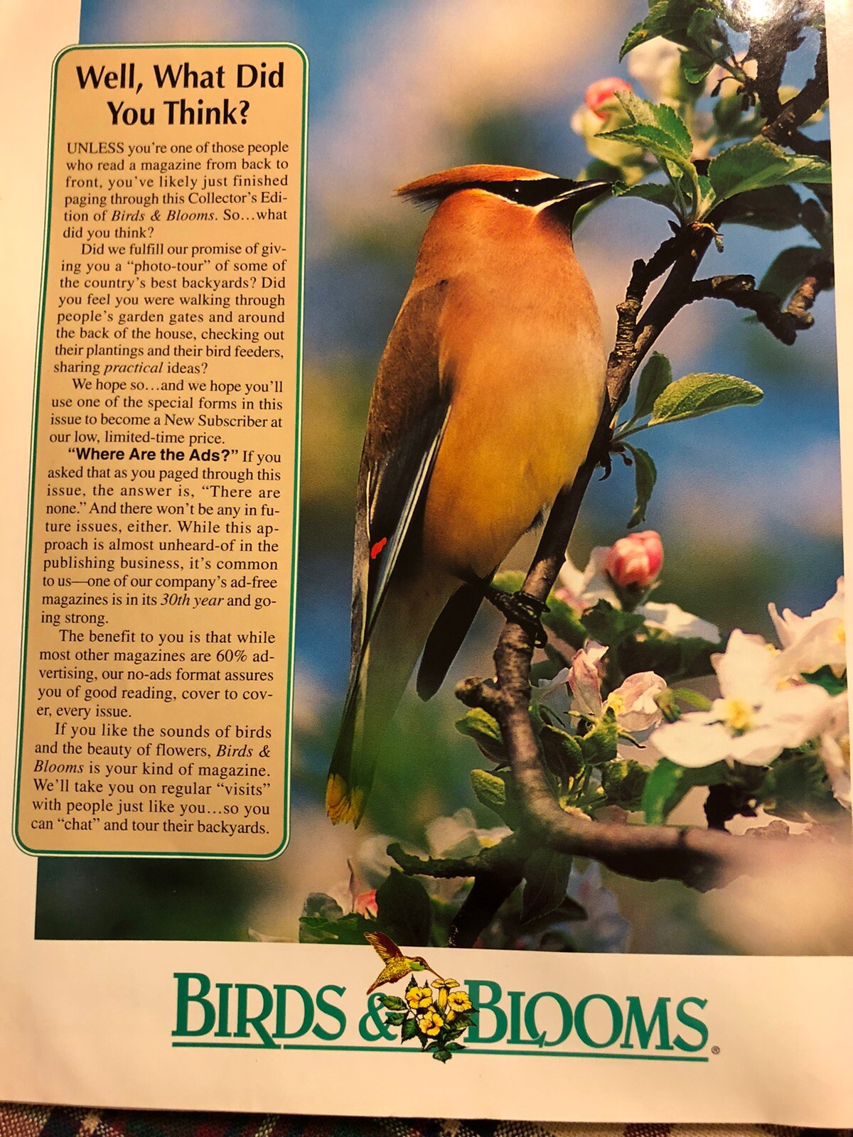Birds & Blooms Catalog 67 page collectors edition 2000