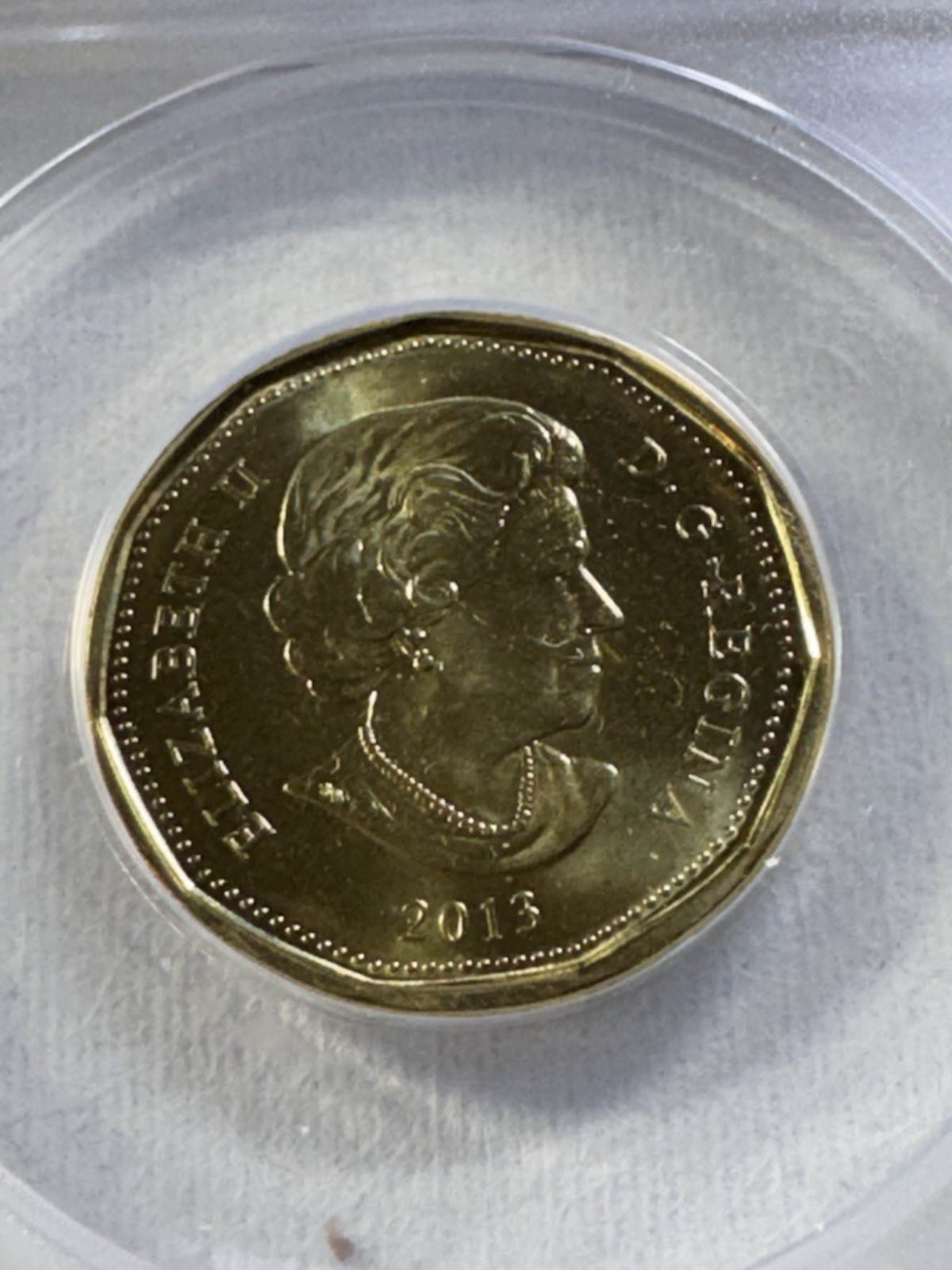 2013 Canada 1 Dollar Loonie Graded MS 66 by ANACS Double Die Reverse