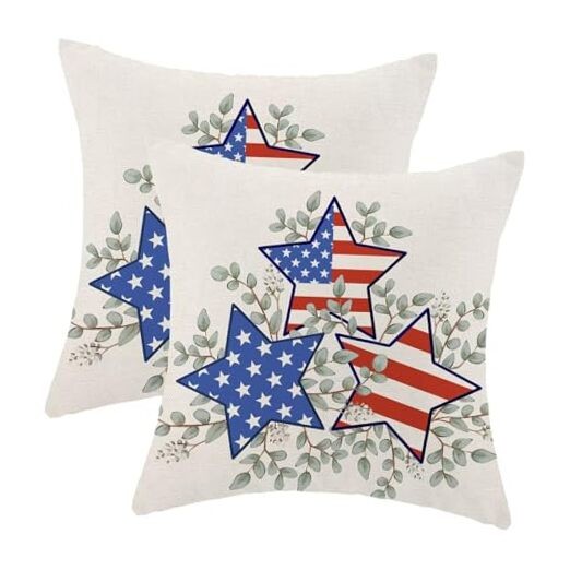 4th of July Pillow Covers 20x20 Inch Set of 2, 20" x 20" (Pack of 2) Bx1