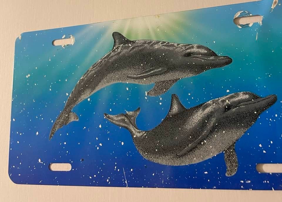 Dolphins Novelty License Plate Ocean Scene Bottlenose