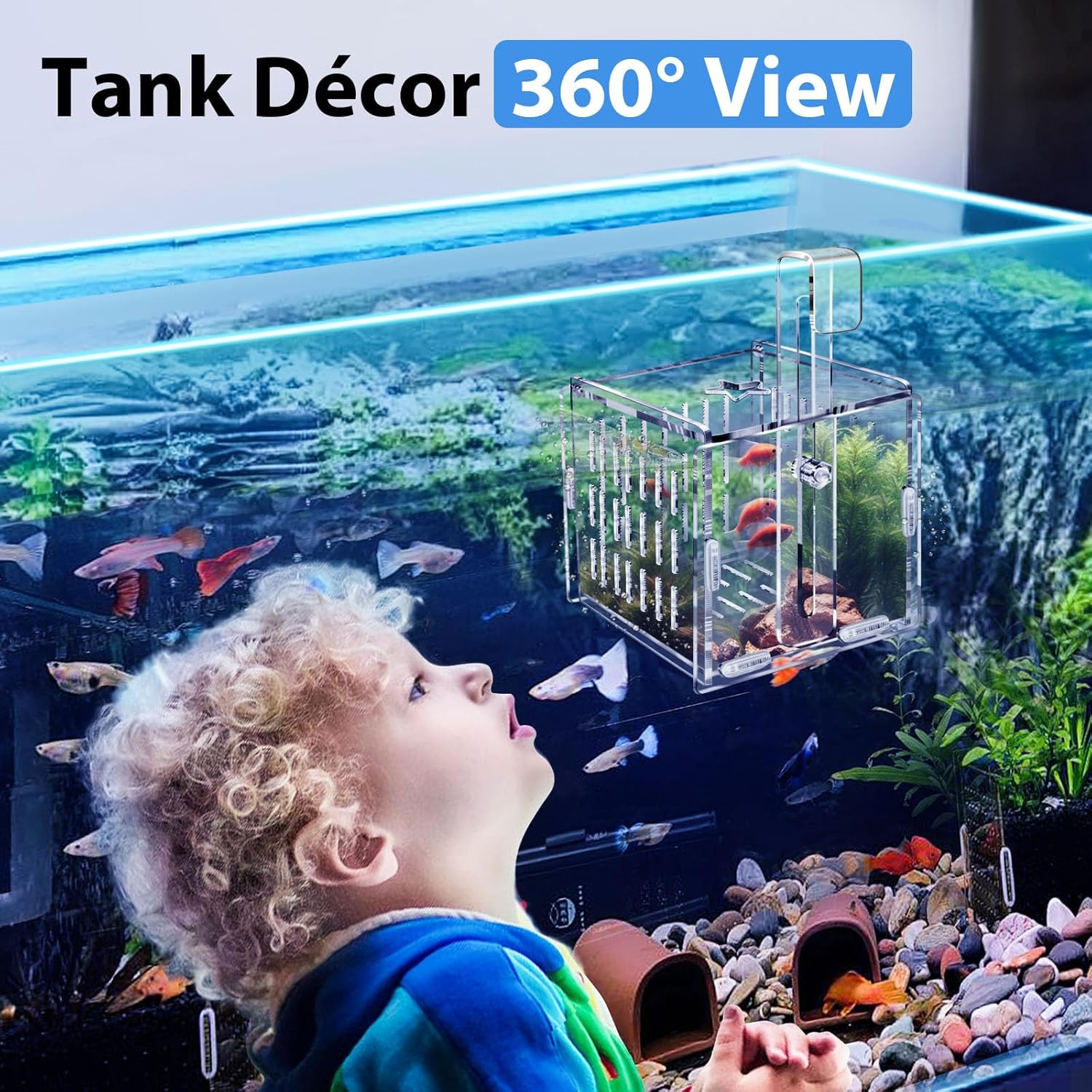 Breeder Box for Fish Tank, Fish Breeder Box for Aquarium, Acrylic Fish Isolation