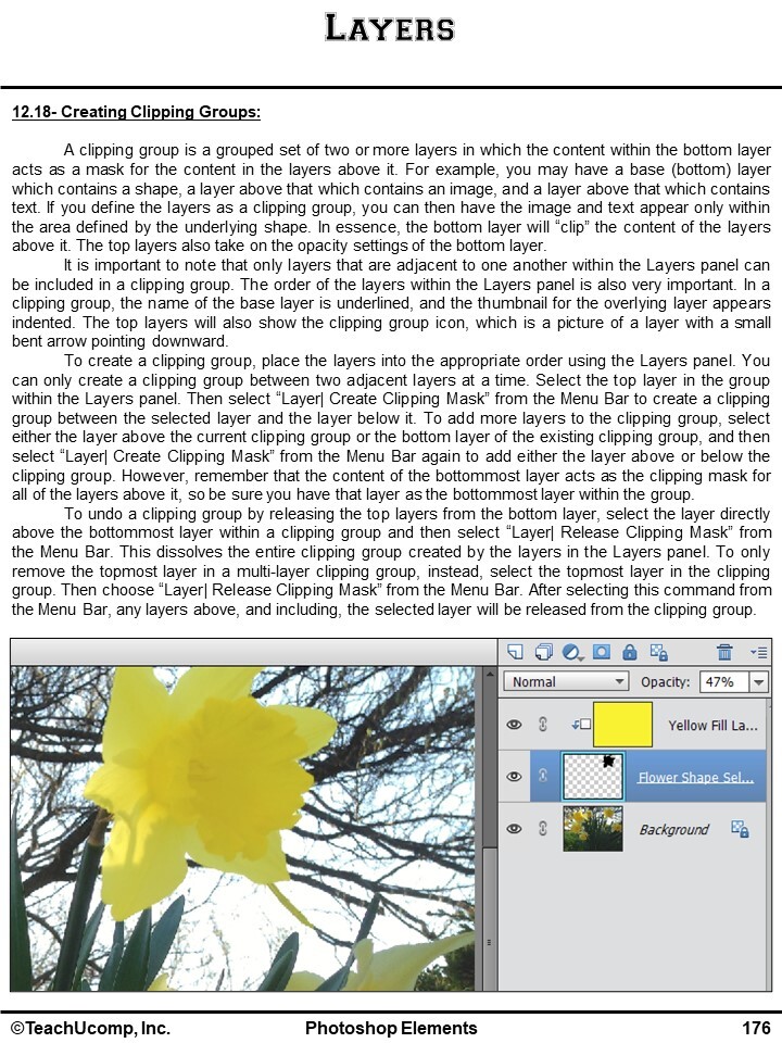 New Learn PHOTOSHOP ELEMENTS 2023 Training Tutorial DVD and Digital Course