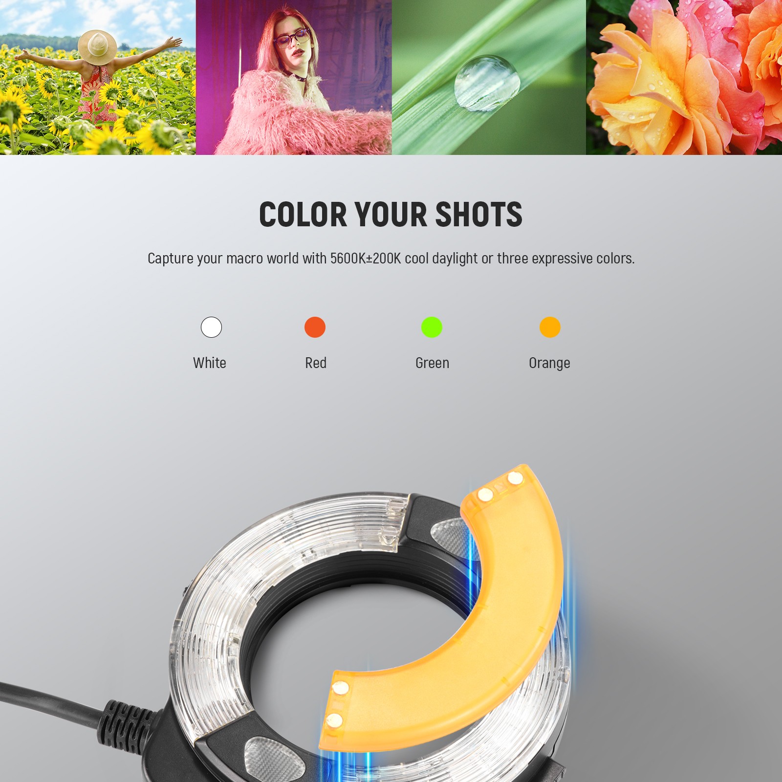 NEEWER RF1-SD Ring Flash for Sony, 76Ws TTL, 5600K, Macro