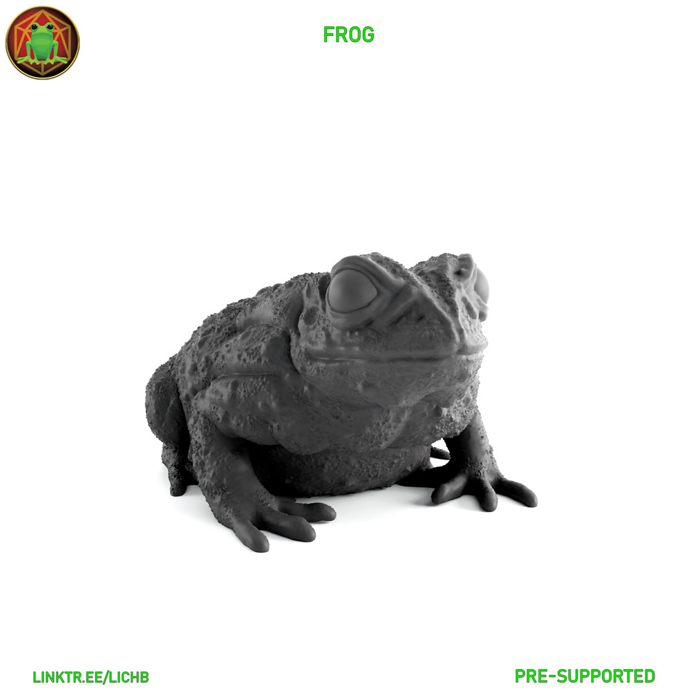 2pcs Frog Monster Manual 28mm Scale DND D&D Tabletop Mini TW