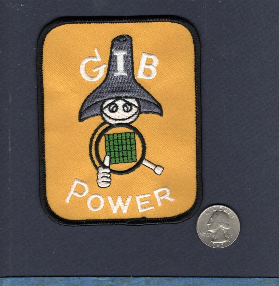 GIB Guy In Back USAF ANG US NAVY USMC Fighter Squadron RIO WSO Crew Patch