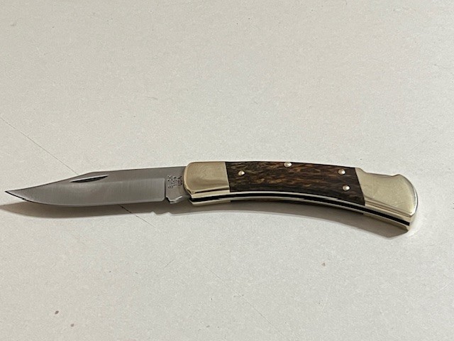 Buck 110 USA EBONY Hunter Lockback Folding Pocket knife Without Sheath-Great-,--