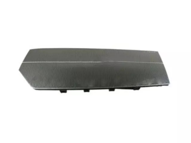 Genuine Ford Inst Finish Panel AR3Z-5804338-CA