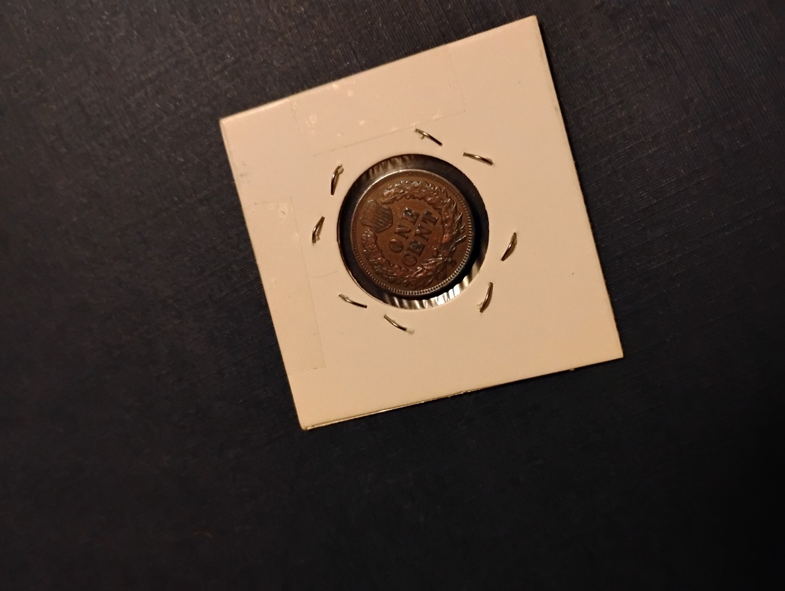1899 indian head penny value