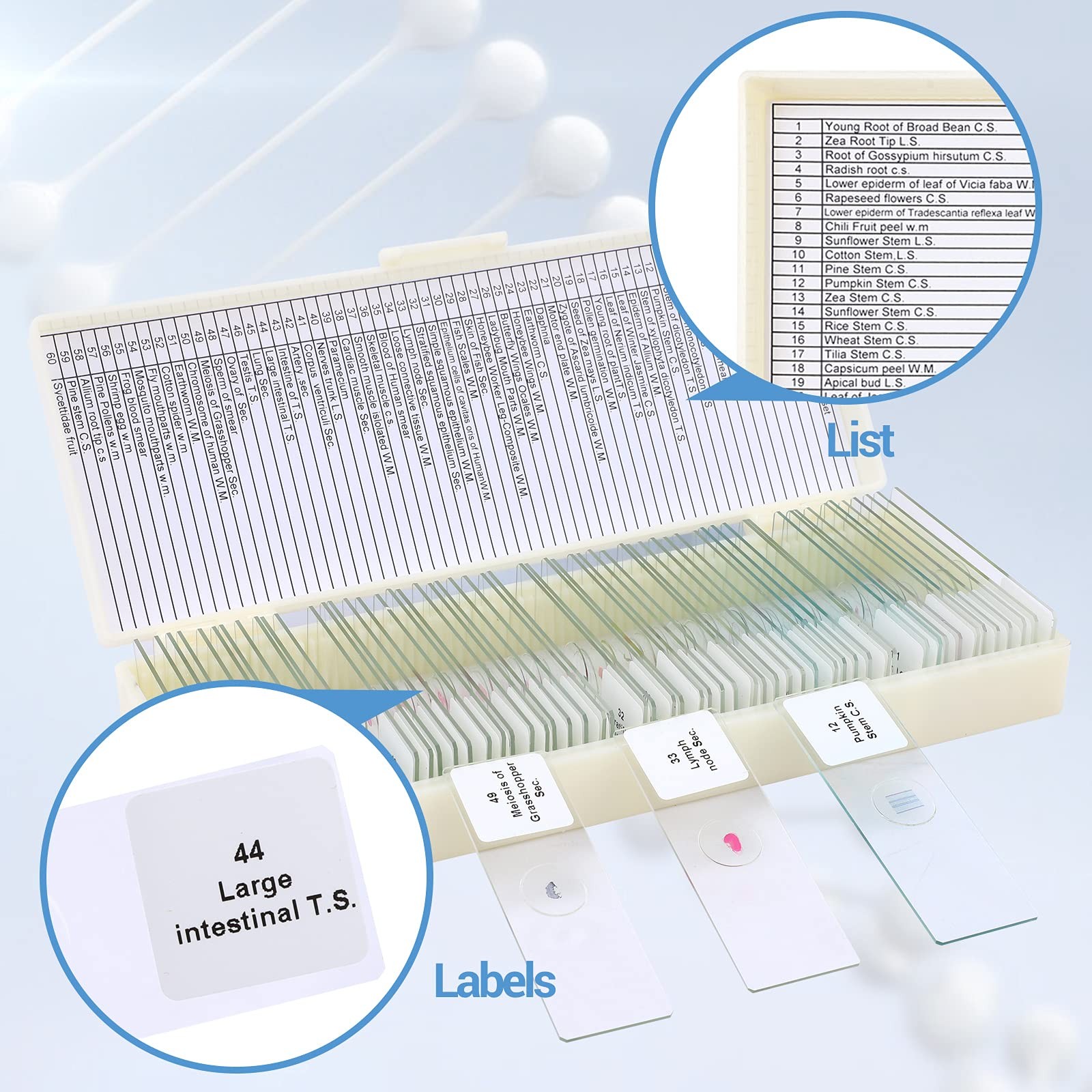 60 Microscope Slides with Specimens for Kids, Prepared 60pcs, Beige