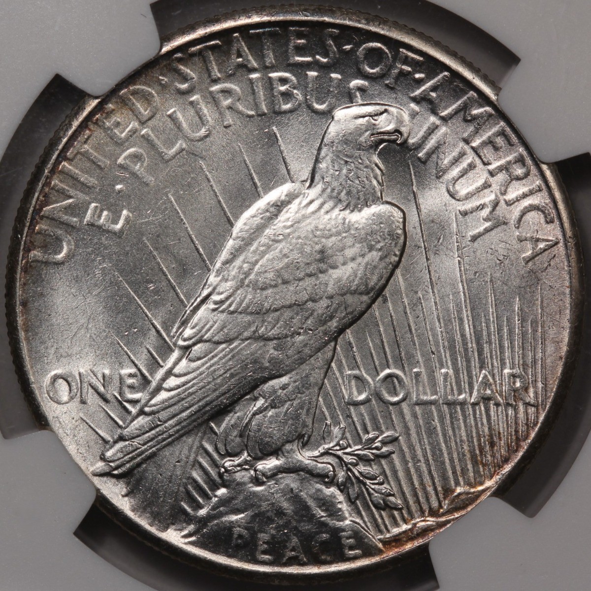 1928 Peace Dollar S$1 NGC MS61