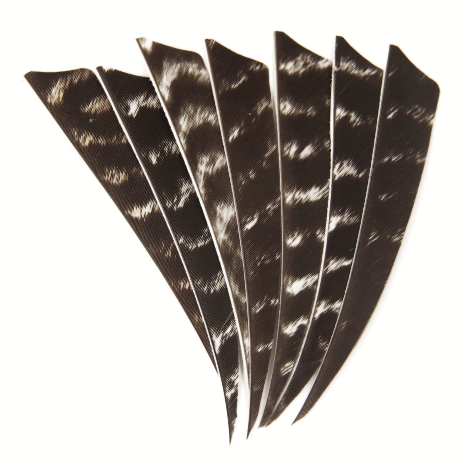Arrow Fletching Shield Type 4 Inch or 5 Inch Natural Stripe Arrow DIY Feather...