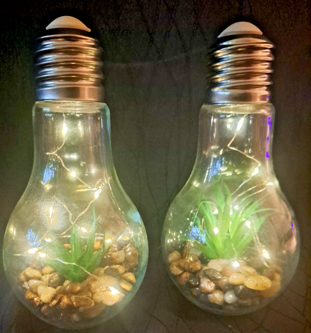 PAIR OF SUCCULENT LIGHT BULB STRING LIGHT AMBIANCE NIGHT LIGHTS-BUTTON TOP