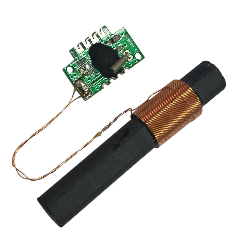 DCF 77 Receiver Module Integrated Circuits Radio Time Module 60x10mm DCF77 Pin T