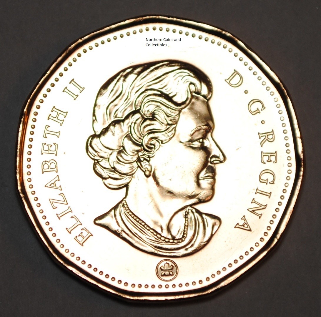 Canada 2011 BU 1 Dollar Canadian Loonie from mint roll