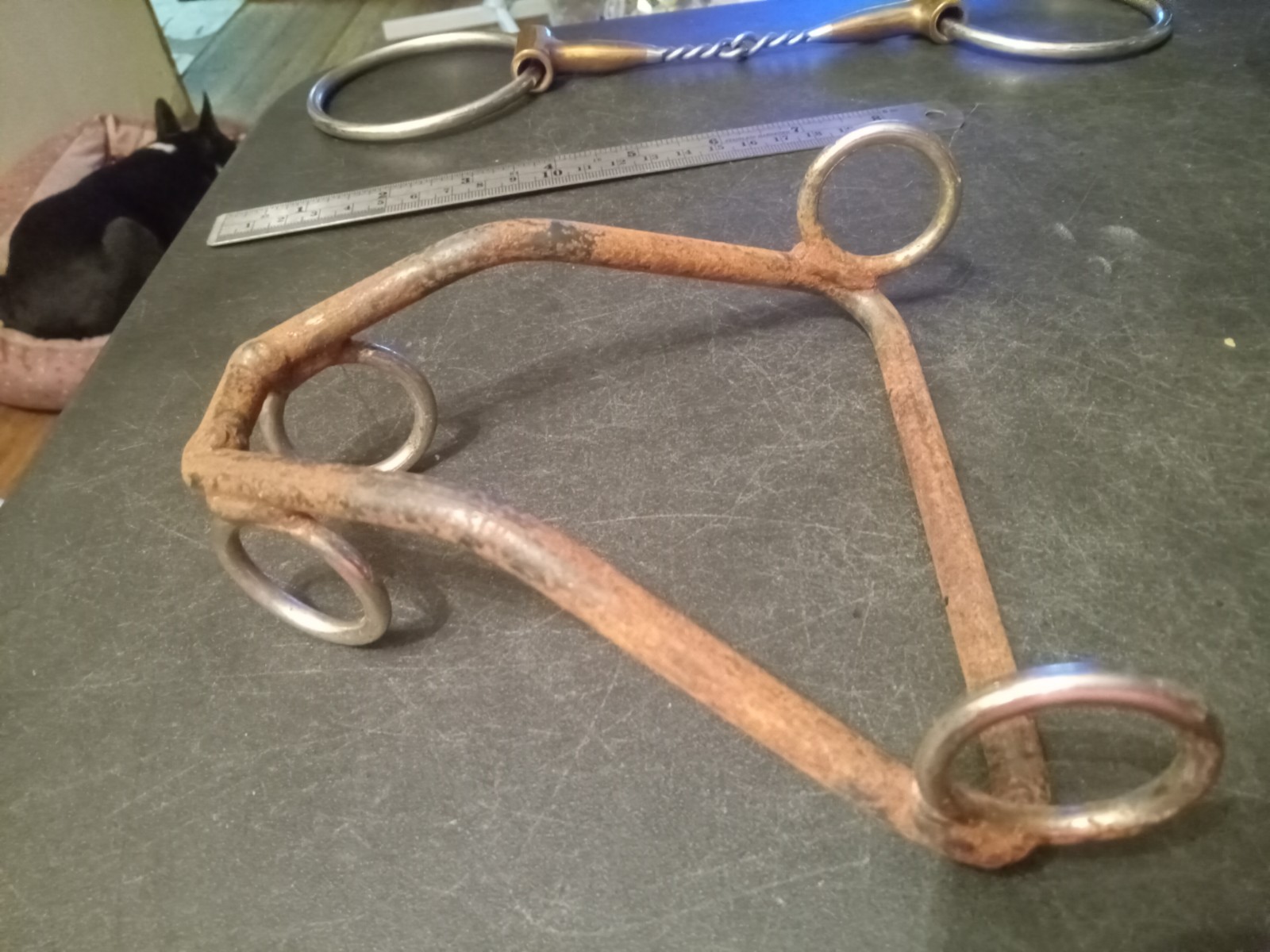hand made quick stop type hackamore