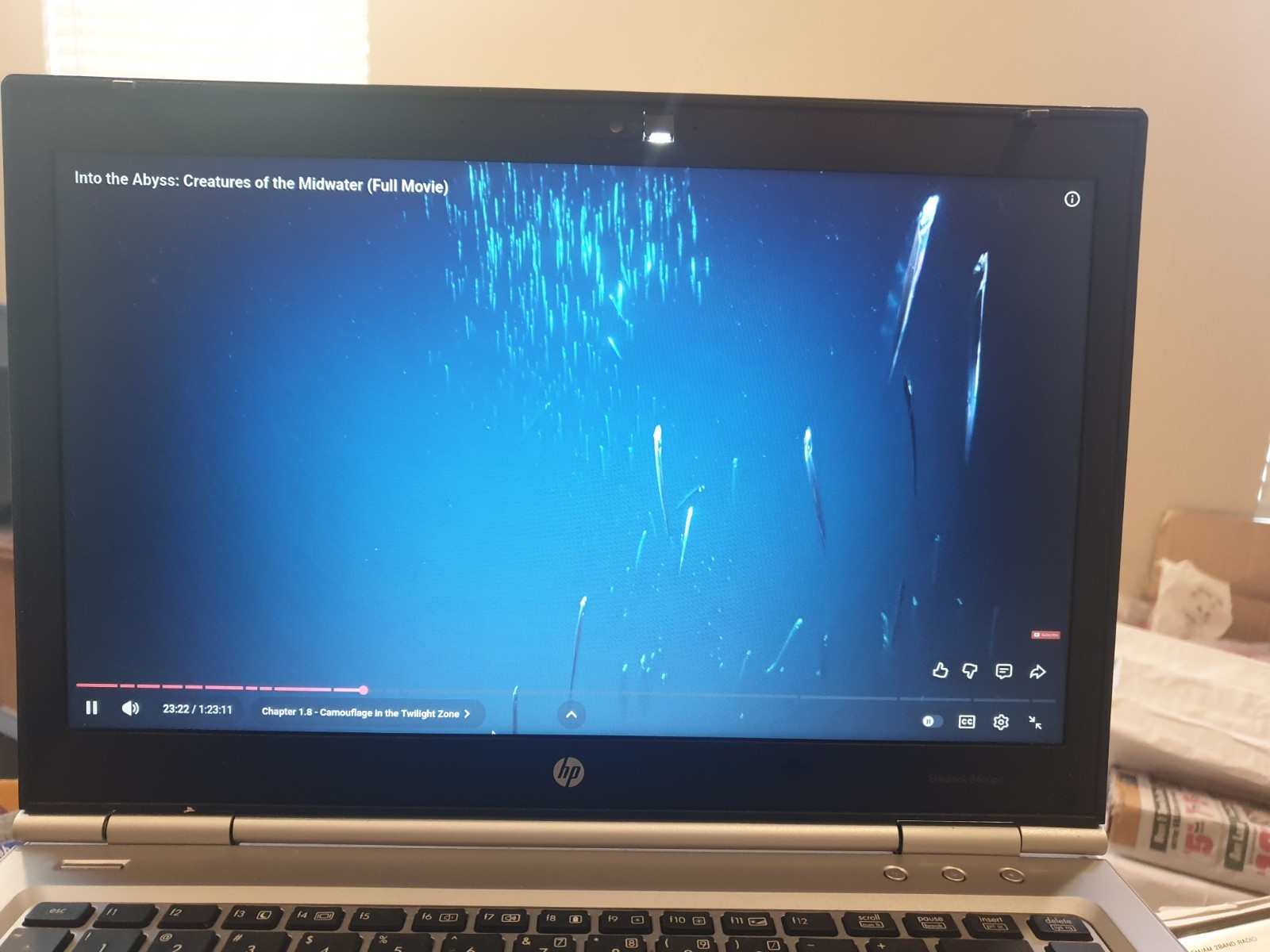 Linux MX V25.2, Xfce, 64-bit, Bootable Live and Install USB Flash Drive
