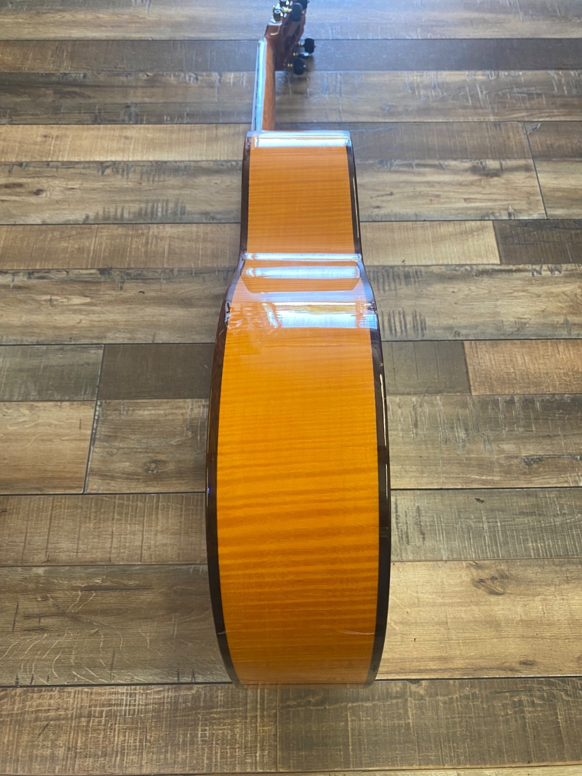 Manual Rodrigues e Hijos Classical guitar C3F