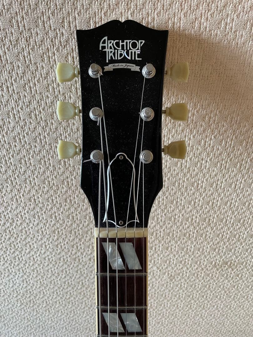 Terada Es175Archtoptribute At-102 Full Aco