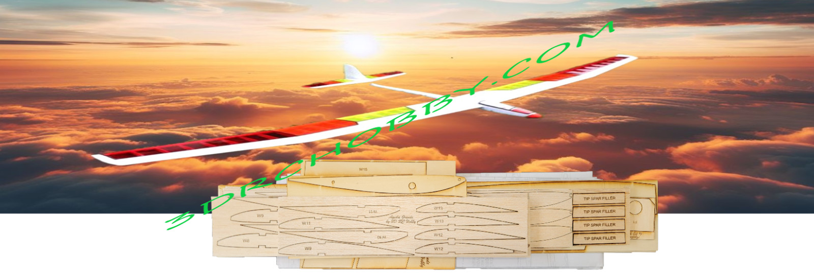 Aquila Grande 123" Wingspan R/C Sailplane Airplane Laser Cut Balsa Ply Short Kit