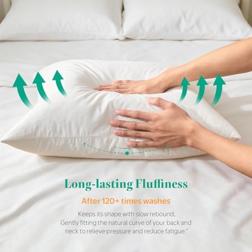 Down Feather Throw Pillow Inserts, 18x18 Pillows Set of 18x18 Inch (Pack of 2)