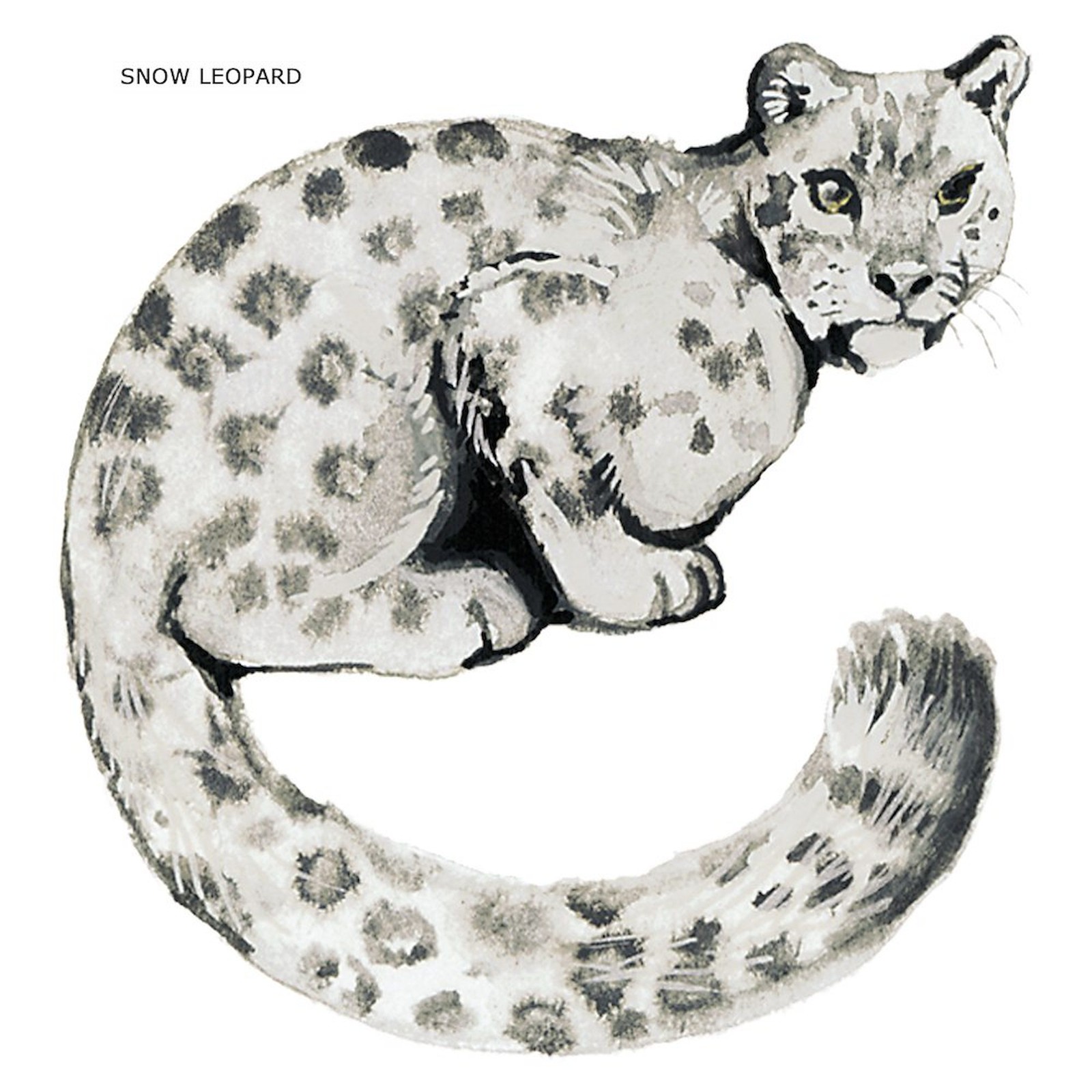 CafePress Snow Leopard Cat Mousepad (801124085)