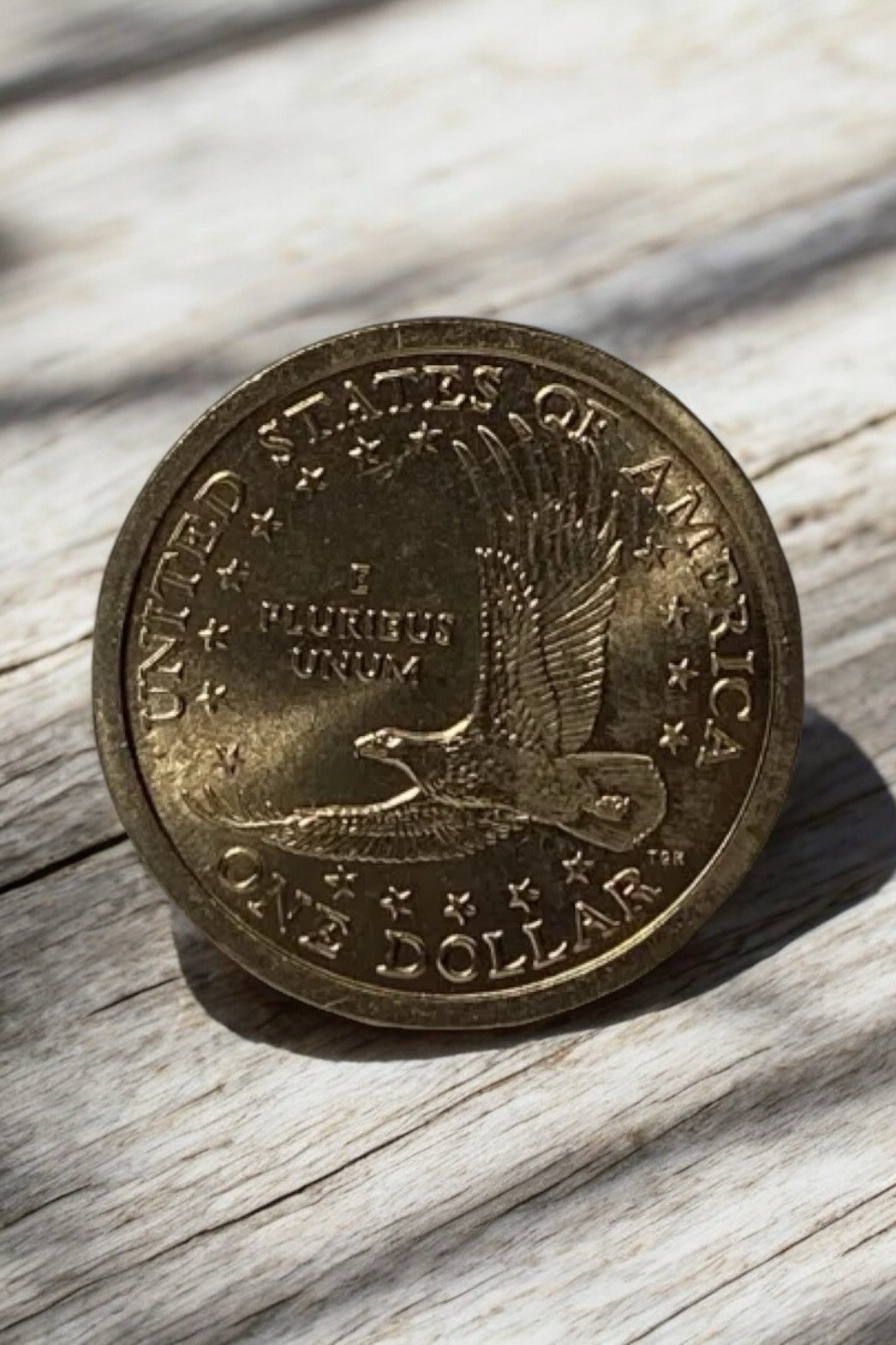 2000-P Sacagawea Dollar Gem Brilliant Uncirculated Mint State