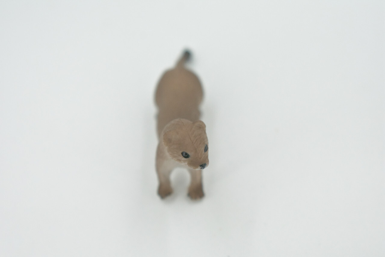 Fisher, Weasel Toy Animal, Realistic, Figure, Model, Toy, Gift, 3" CH534 BB159