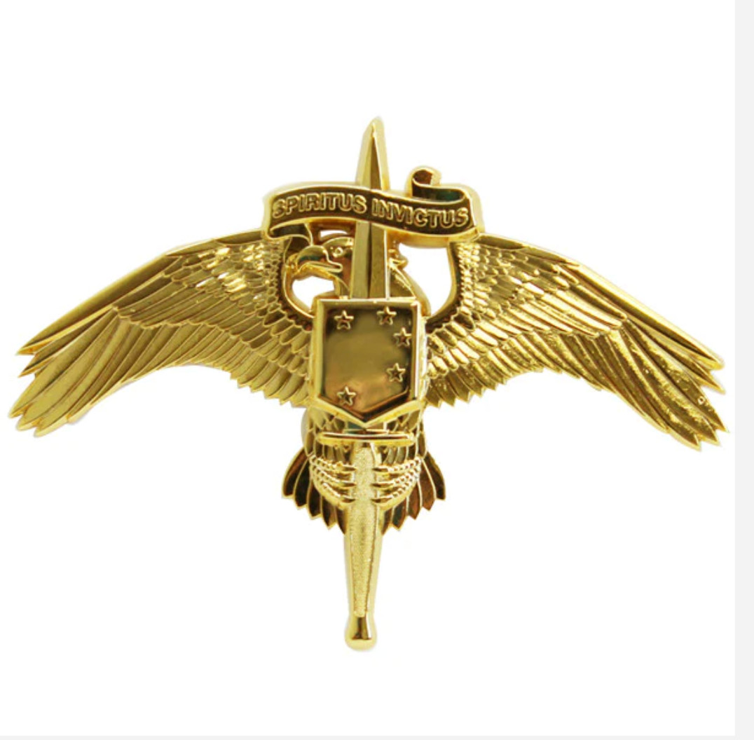 MARINE CORPS BADGE: MARSOC MARINE CORPS FORCES SPECIAL OPERATIONS COMMAND