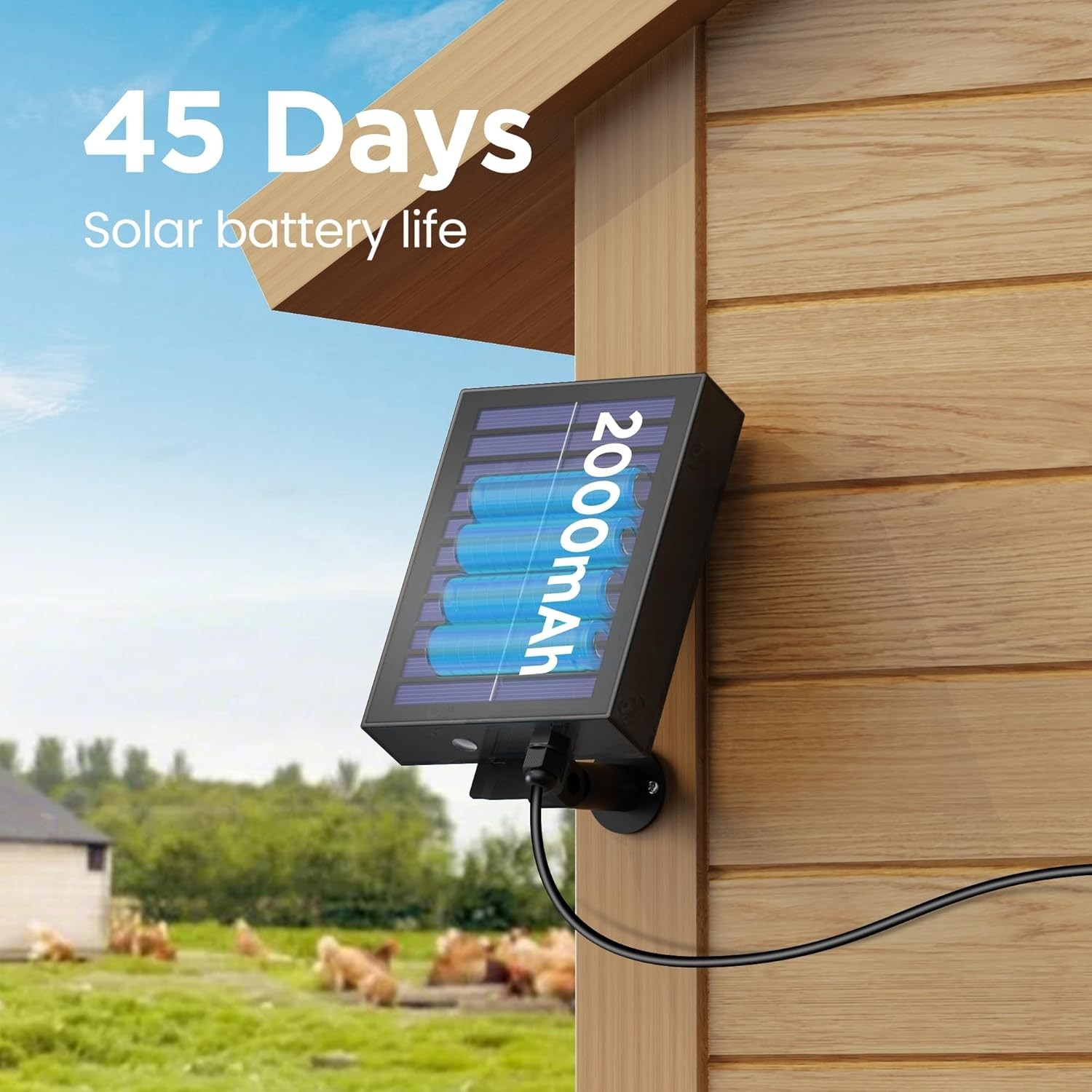 Automatic Chicken Coop Door Solar: Automatic Chicken Door - Solar Powered Chicke