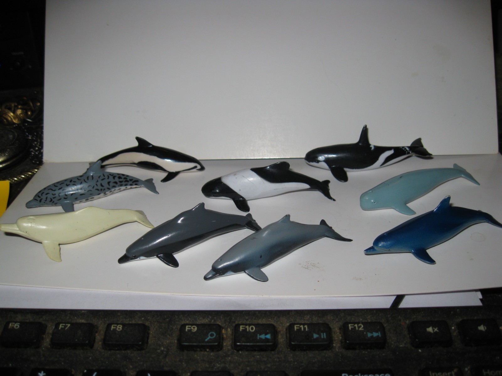 1996 PLAY VISIONS 9 miniature plastic DOLPHINS animals Complete Set + variant
